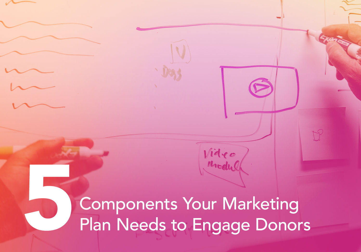 5 Components Your Marketing Plan Needs to Engage Donors